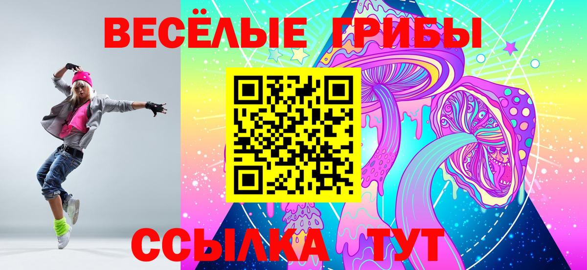 Псилоцибиновые грибы Psilocybe  Вход с VPN  купить наркотики сайты  Фролово 