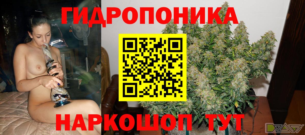 Фролово  Шишки марихуана VHQ  Вход с VPN  Конопля тримм  Бошки марихуана планчик 